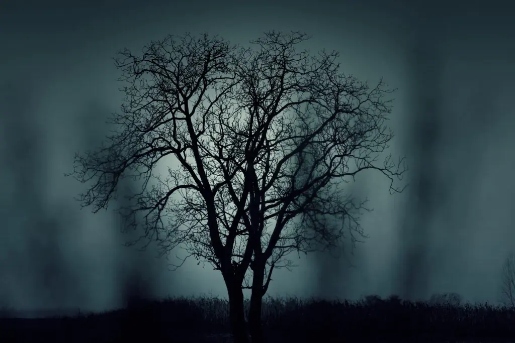 Tree Silhouette | Printable Halloween Art 