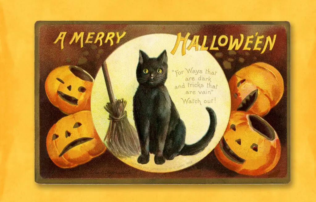 Vintage Halloween Printed Cat Sign