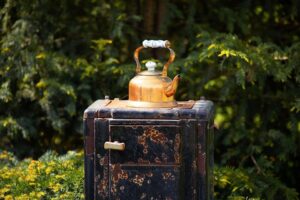 Ways to Use Coffee Grounds in Your Yard & Garden