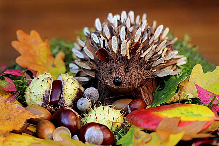 Cute DIY Hedgehog