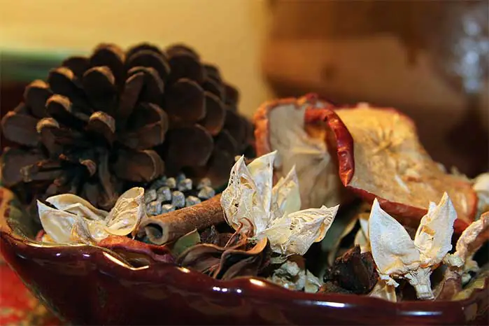 DIY Fall Potpourri Bowl 