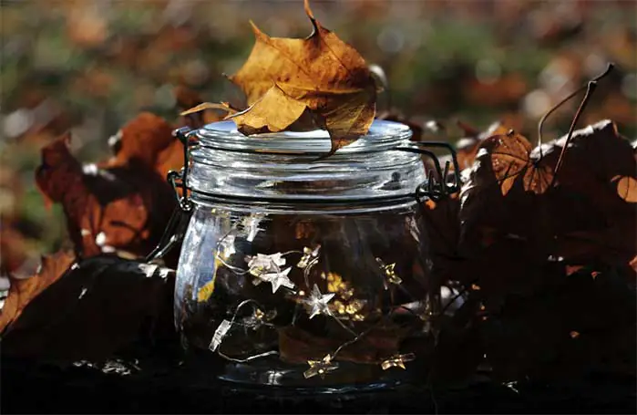 DIY LED Fall Garden Light