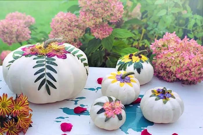 DIY White and Floral Painted Pumpkins