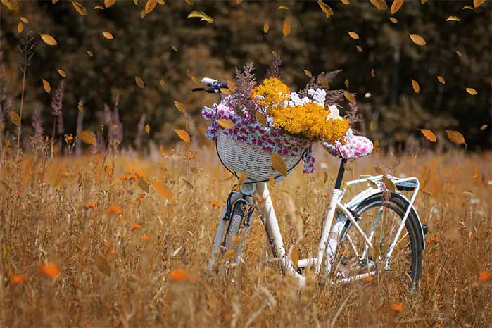 Fall Bicycle Flower Basket