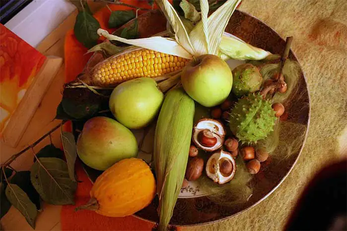 Fall Harvest Bowl