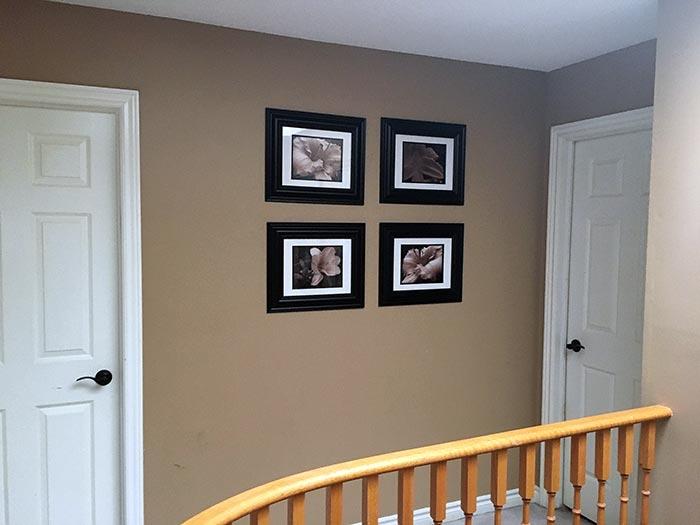 Framed Daylily Art Photos