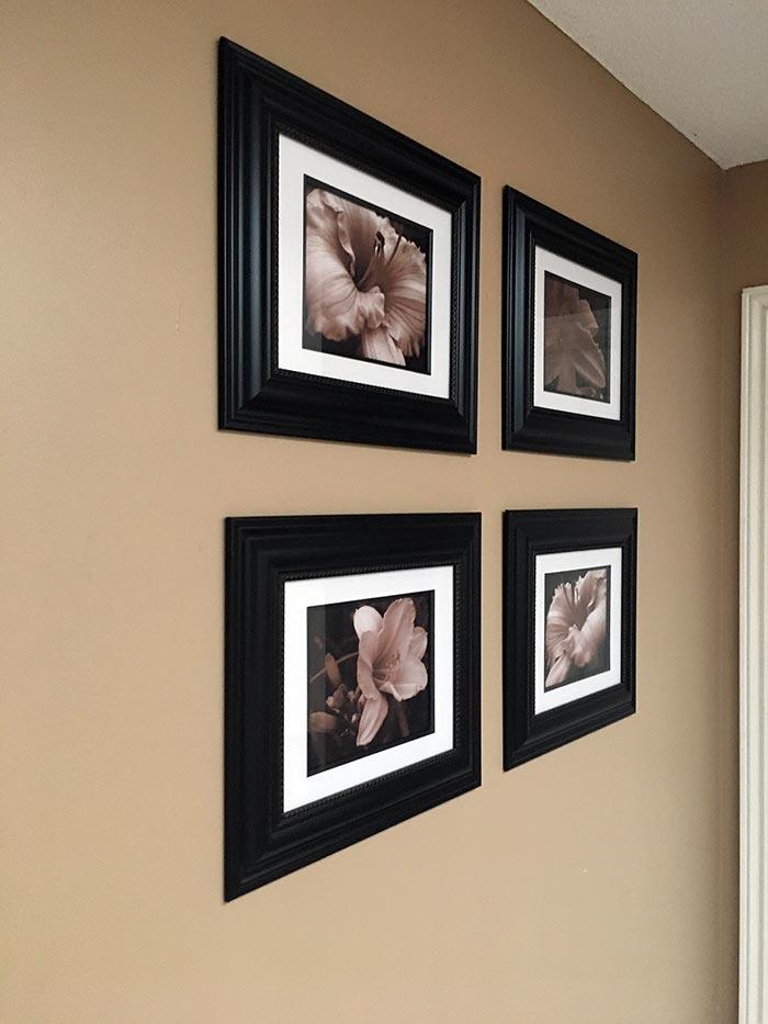 Framed Daylily Art Photos