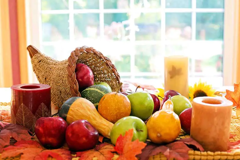 Gourd Cornucopia 
