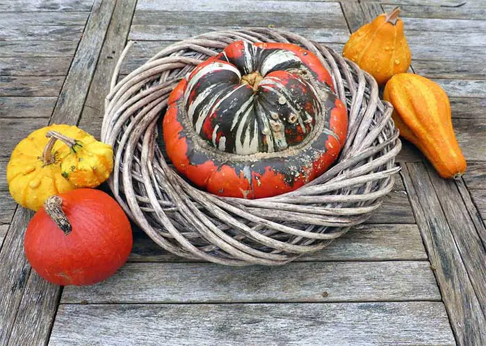 Gourd Wreath DIY Decor