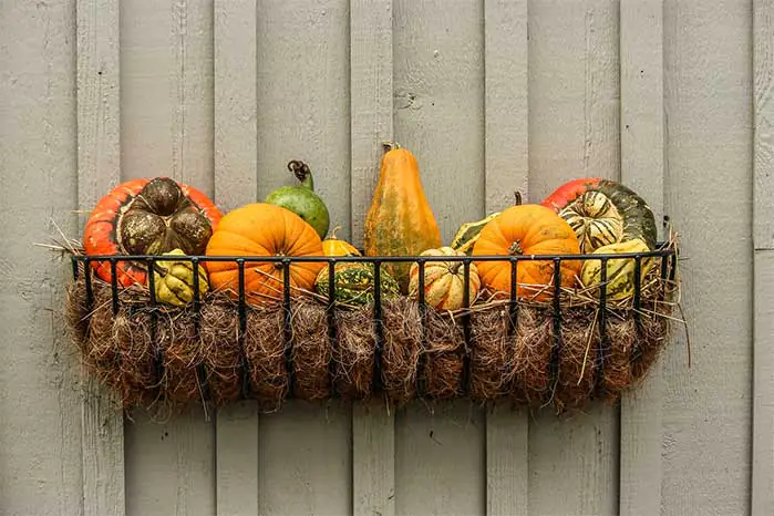 Hanging Basket of Gourds