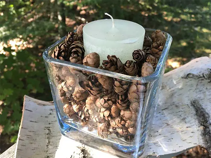 Hemlock Cones DIY Candle Holder