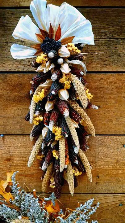 Indian Corn Fan
