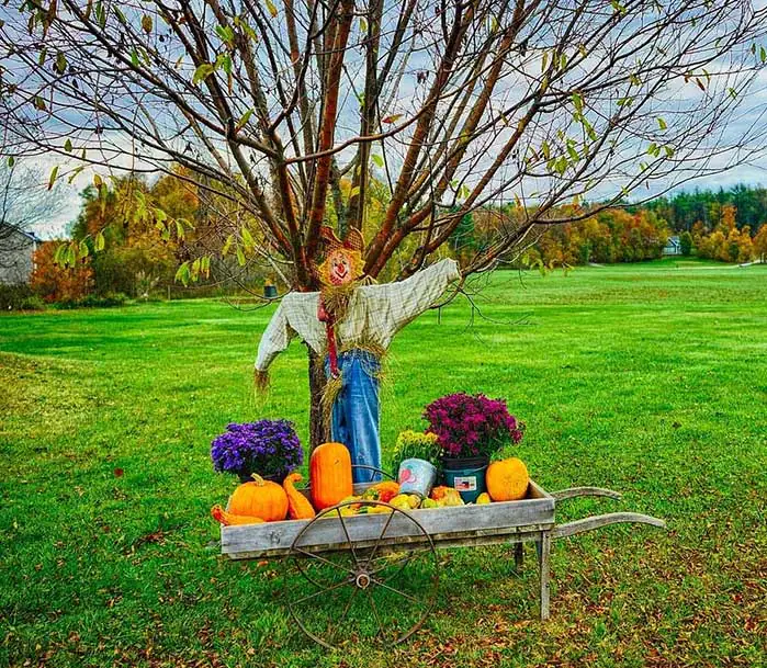 Outdoor DIY Fall Decor Wagon & Scarecrow