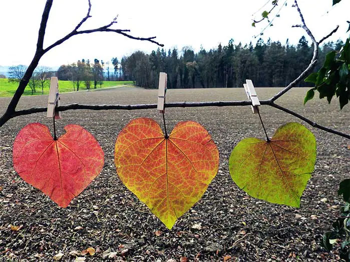 Paperclip Leaves DIY Fall Decor