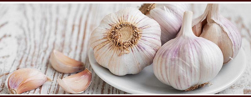 Plant Garlic to Repel Mosquitoes