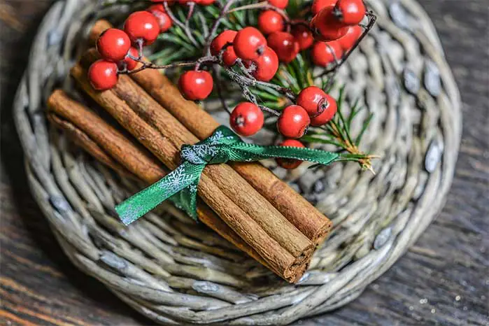 Wrapped Cinnamon Sticks and Berries on a Rustic Plate
