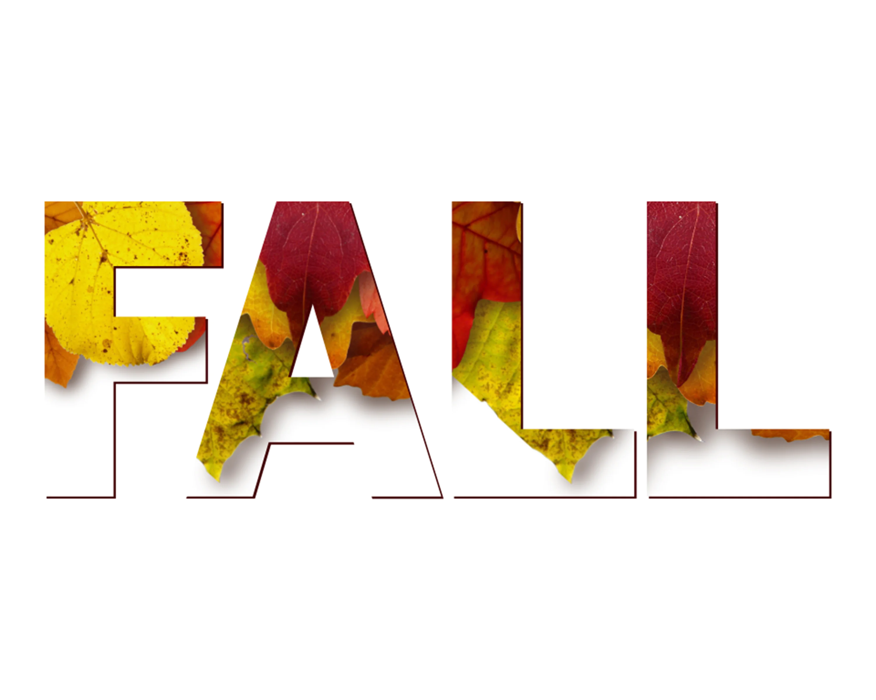 Fall in Leaves DIY Printable 10x8