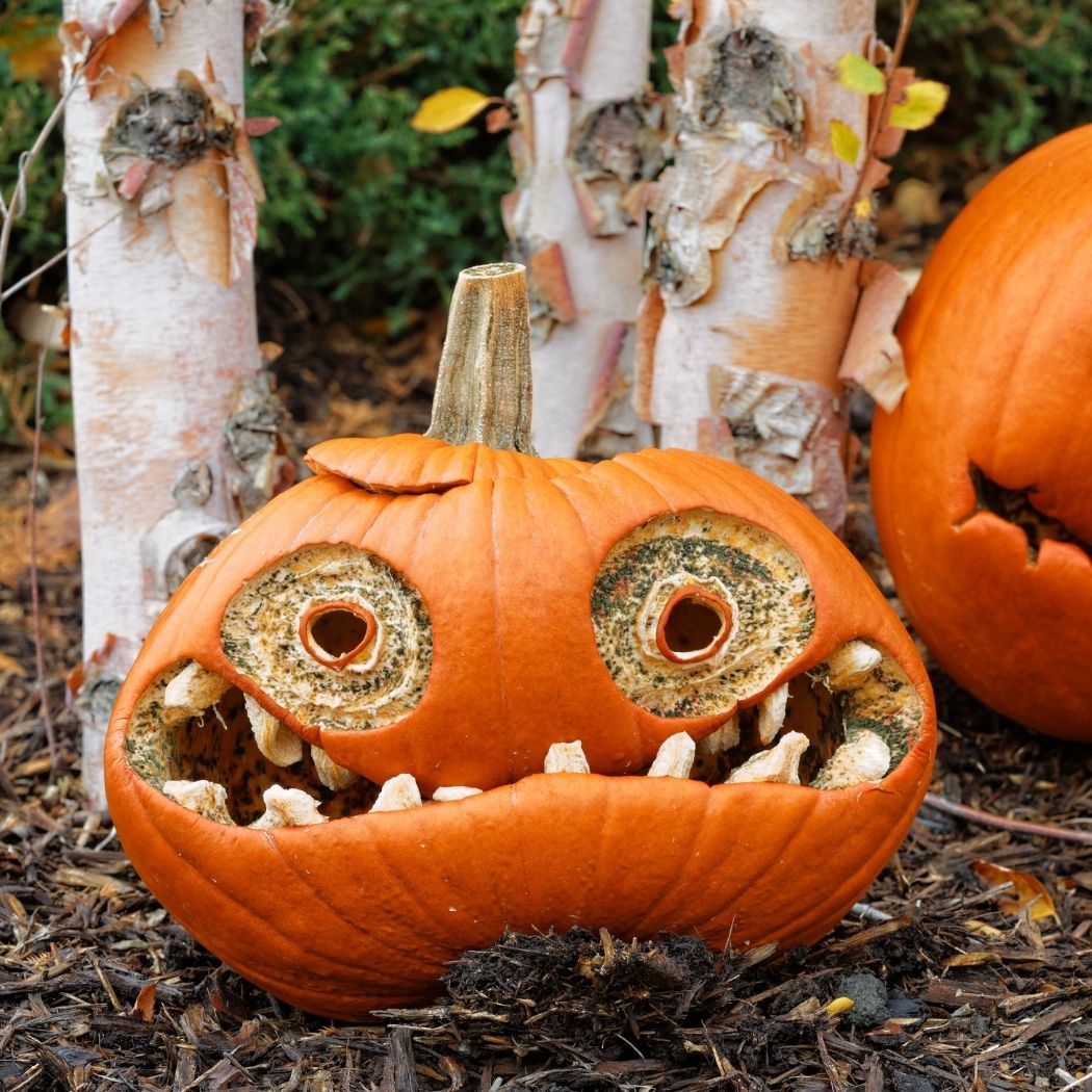 Halloween Pumpkin Carving Ideas 2021