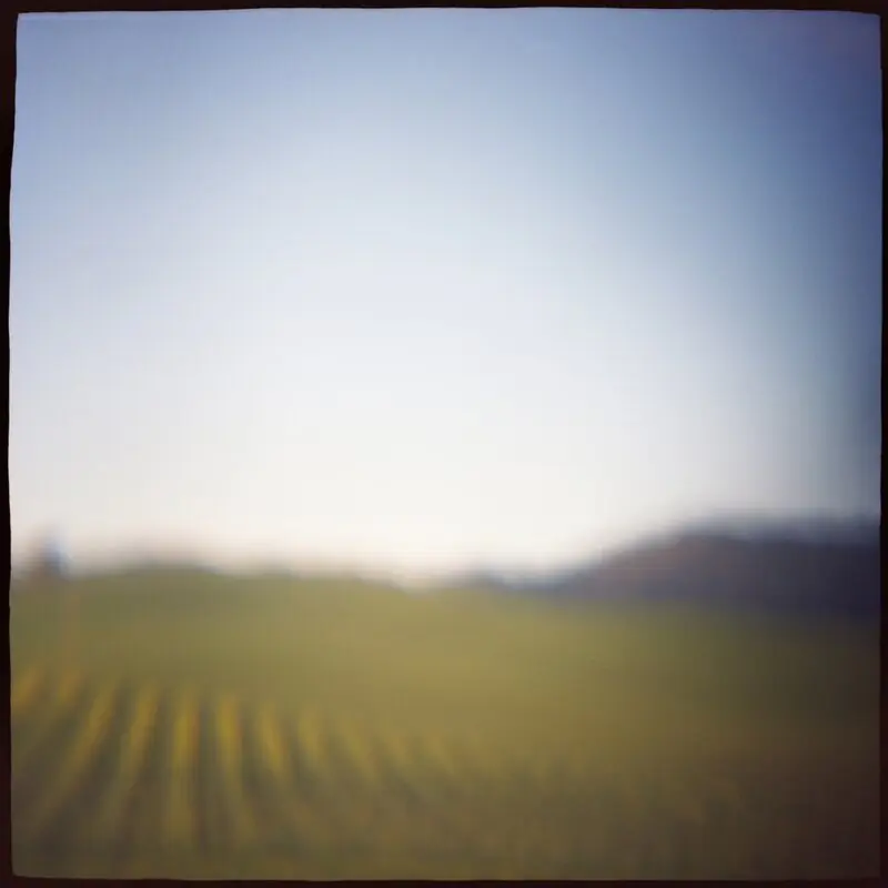 02 Vineyard Daniel Grant Photographic Print