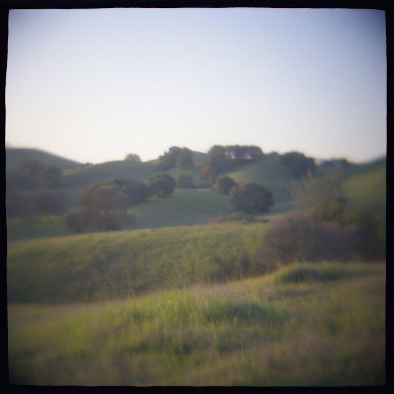 05 Oak Hillside Daniel Grant Photographic Print
