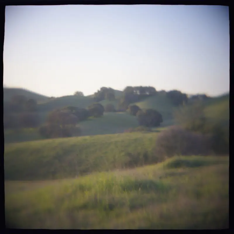 05 Oak Hillside Daniel Grant Photographic Print