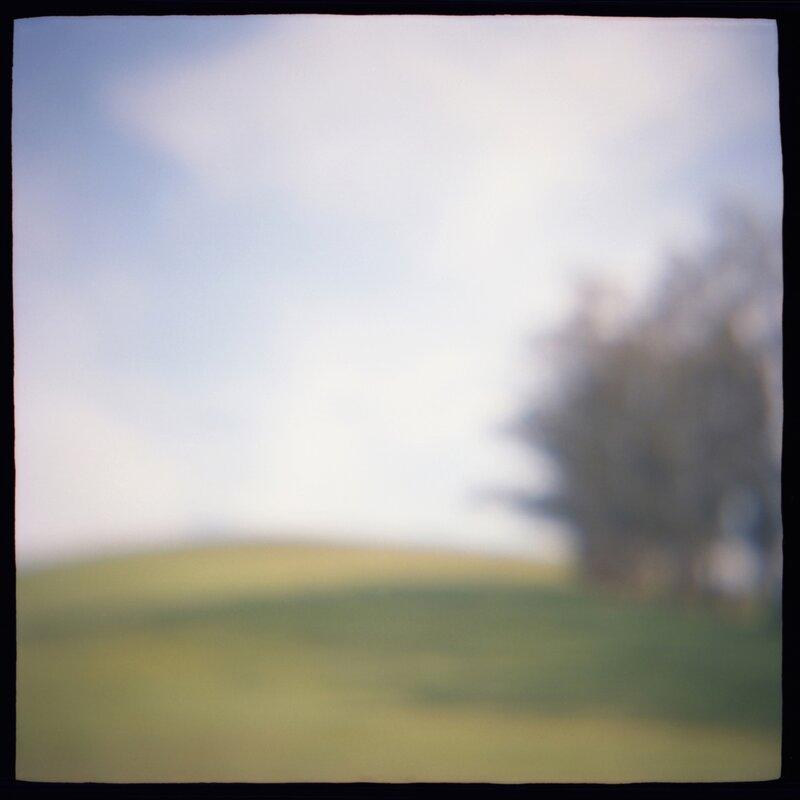 06 Meadow Edge Daniel Grant Remembered Landscapes