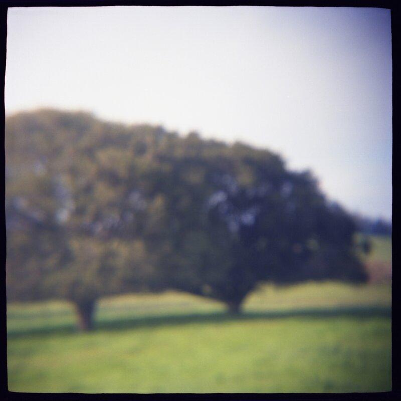 08 Twins Daniel Grant Toy Camera Photography