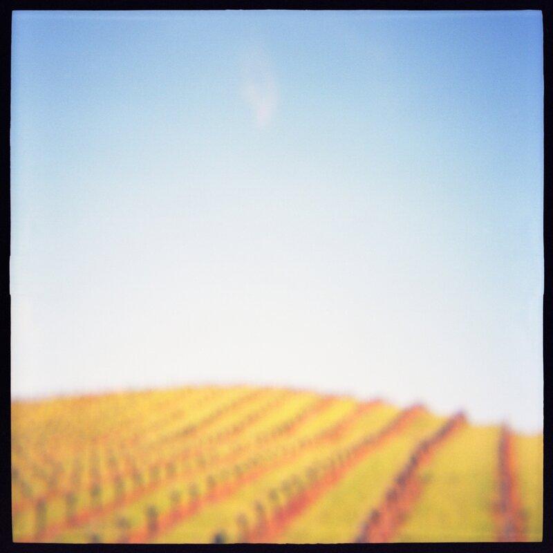 14 Fall Lines Daniel Grant Photographic Print