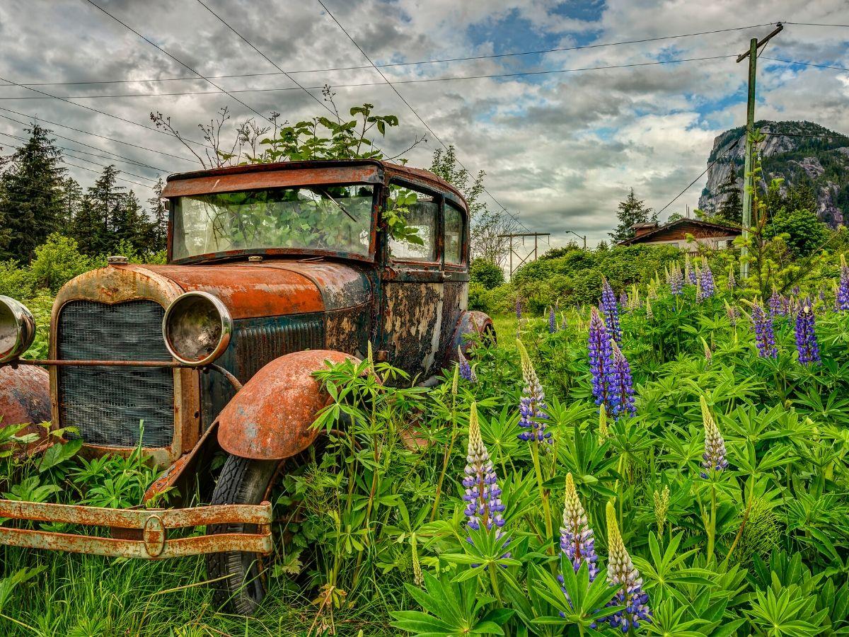 Old Ford Transit Abandoned For 12 Years Due To Heavy Rust Still Runs