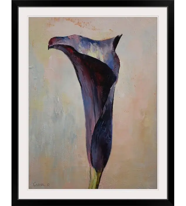 Black Calla Lily Michael Creese Framed Painting Print