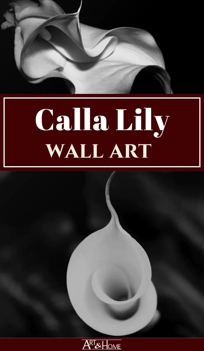 There is something sensual yet sophisticated about Calla Lily wall art that can add a unique and dramatic touch to any home. 
