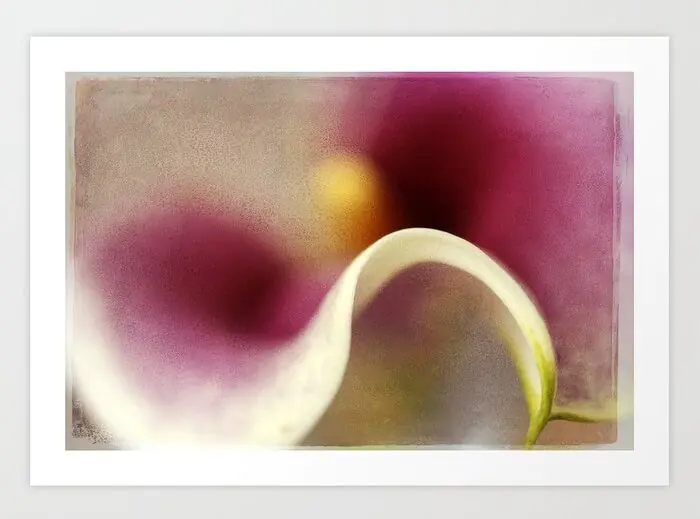 Calla Lily Abstract II Art Print