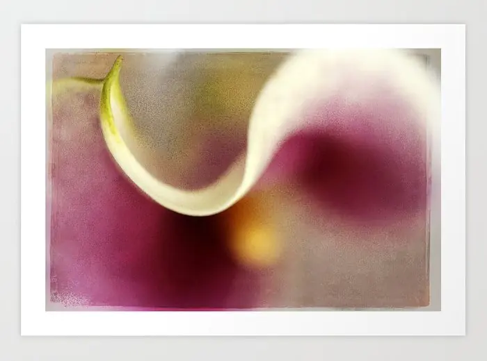 Calla Lily Abstract III Art Print