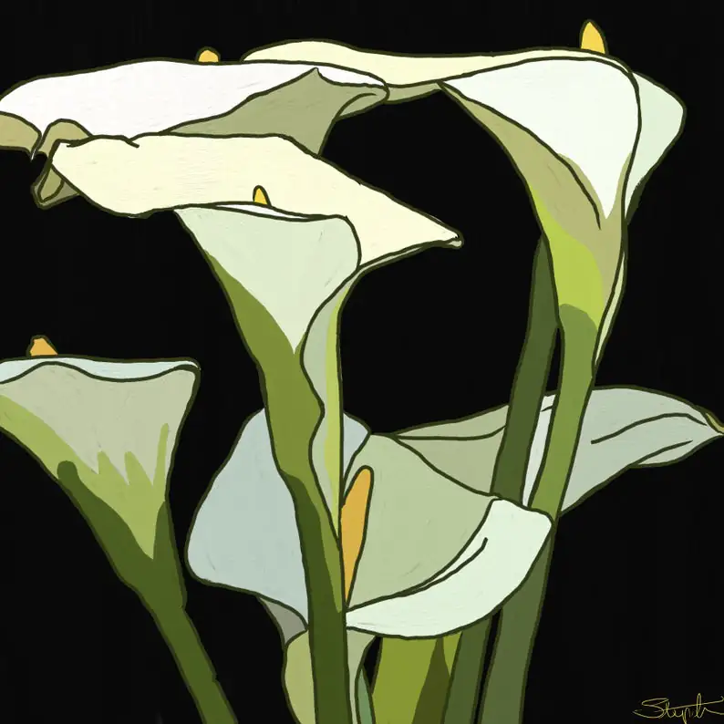 Calla Lily Digital Art Print