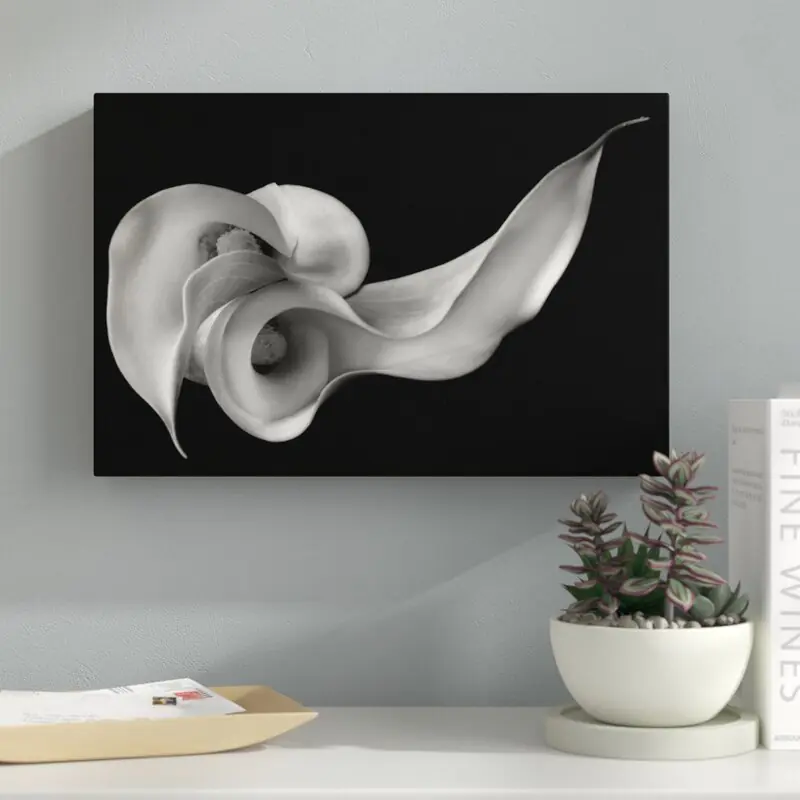 Calla Lily Photographic Art Print