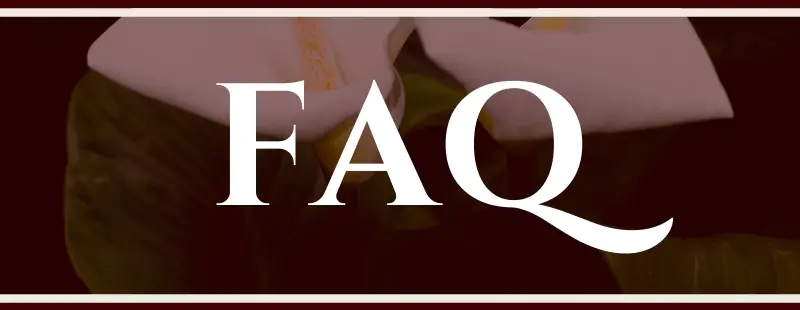 Calla Lily Wall Art & Decor FAQ