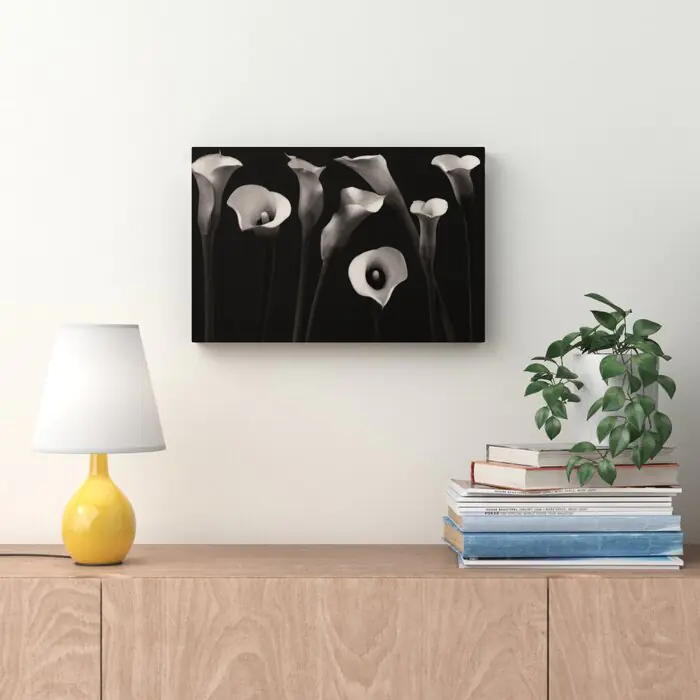 Composition with Calla-Lily