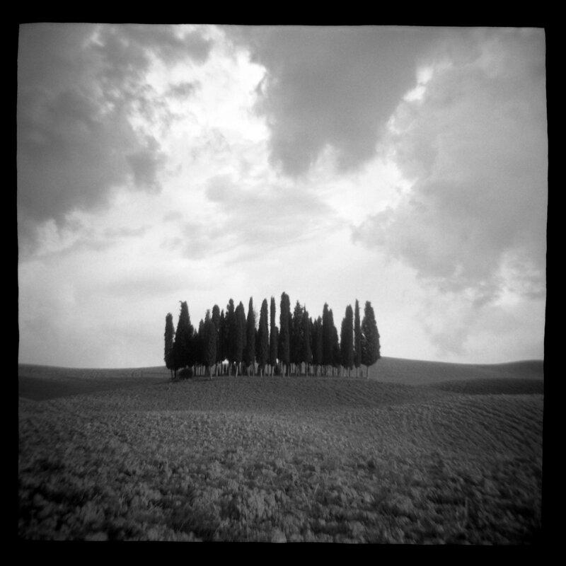Cypress Hill Daniel Grant Toy Camera Photography