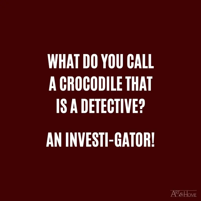 What do you call a crocodile that is a detective? An investi-gator!