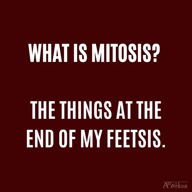 What is mitosis? The things at the end of my feetsis. #DadJokes #BestDadJokes