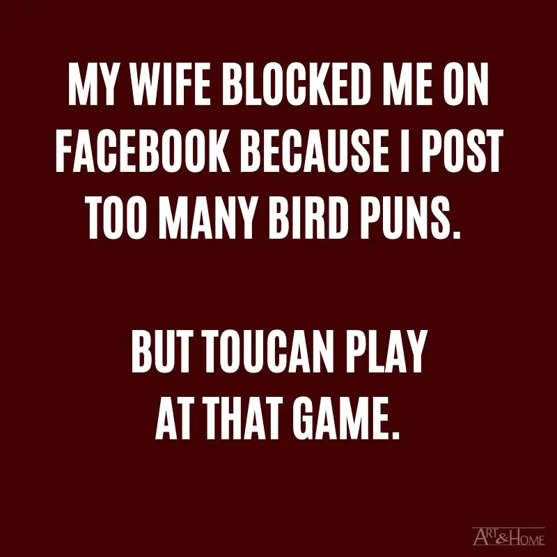 My wife blocked me on Facebook because I post too many bird puns. Well, toucan play at that game. #DadJokes