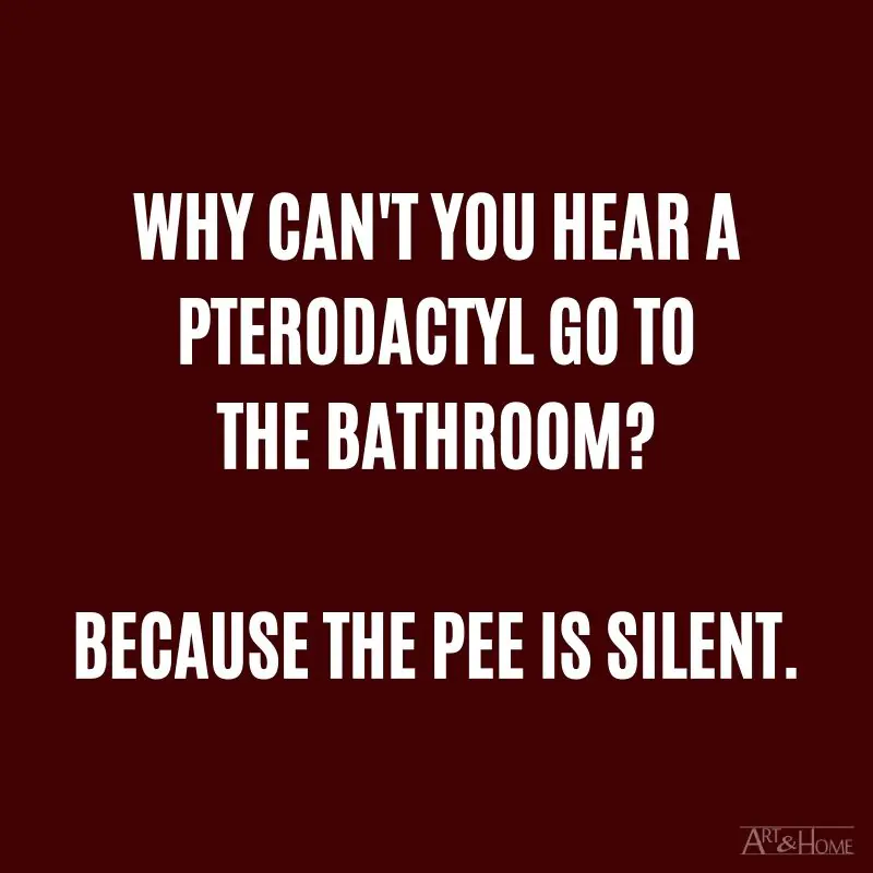 Why can't you hear a pterodactyl go to the bathroom? Because the pee is silent.