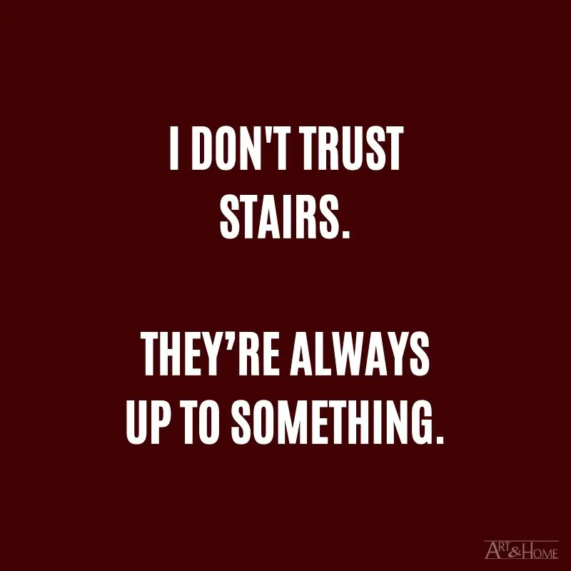 I don't trust stairs. They’re always up to something.