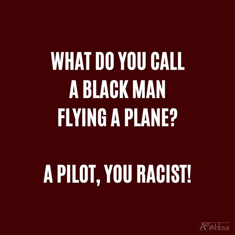 What do you call a black man flying a plane? A pilot, you racist! #DadJokes