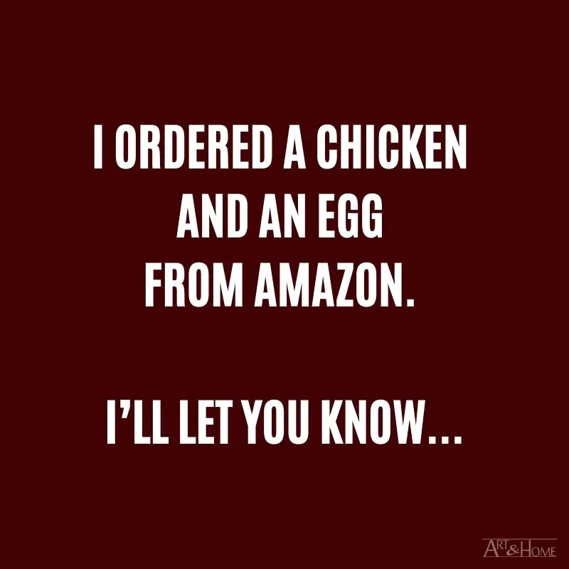 I ordered a chicken and an egg from Amazon. I’ll let you know… #DadJokes