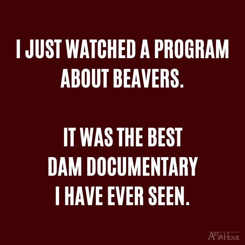 I just watched a program about beavers. It was the best dam documentary I have ever seen.