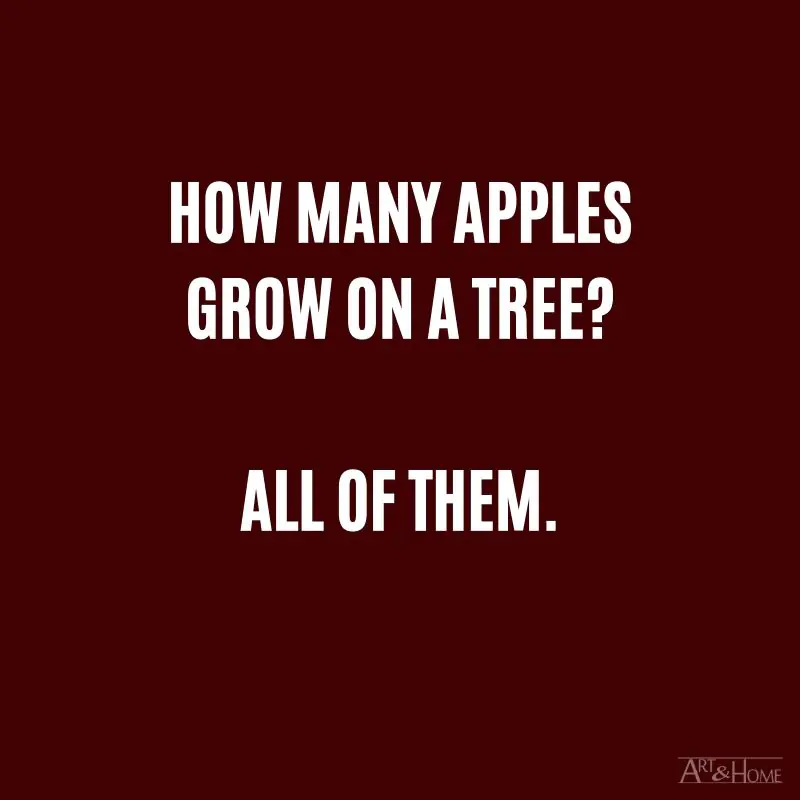 How many apples grow on a tree? All of them.