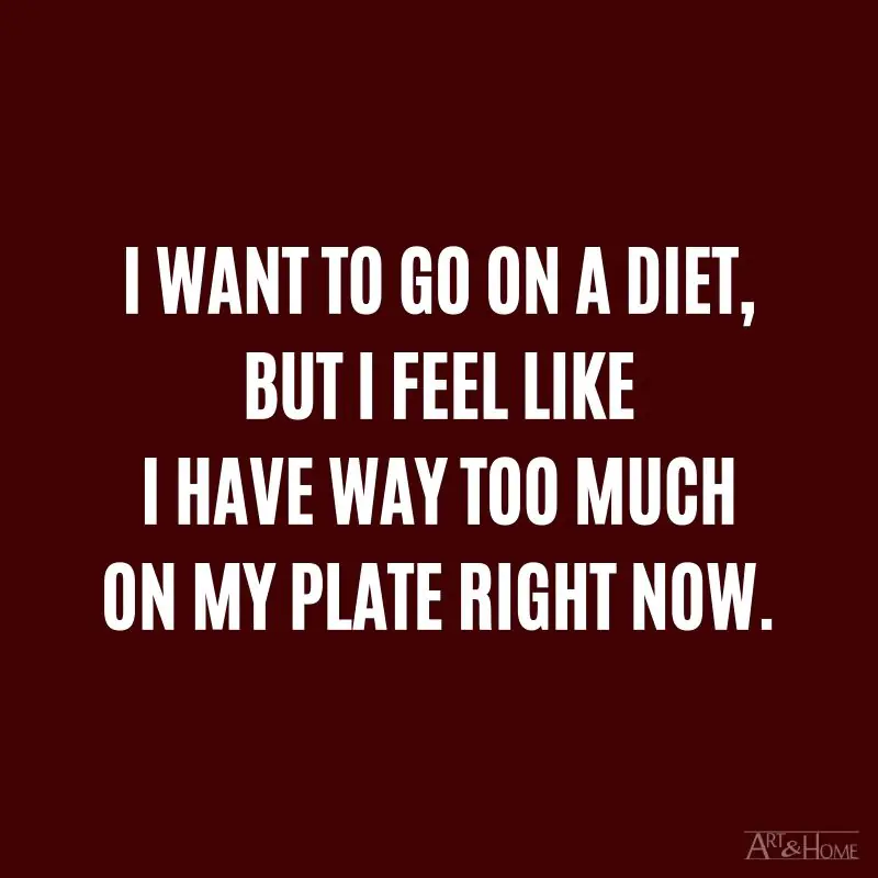 I want to go on a diet, but I feel like I have way too much on my plate right now.