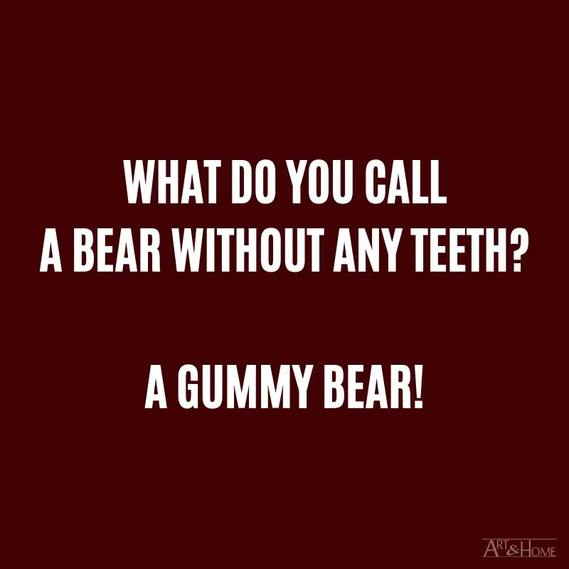 What do you call a bear without any teeth? A gummy bear!