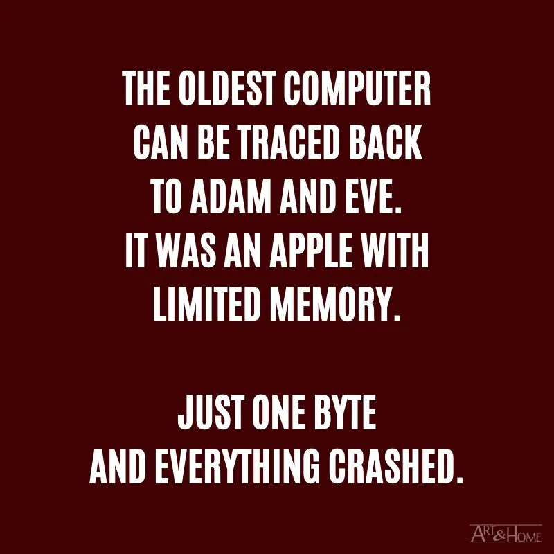 The oldest computer can be traced back to Adam and Eve. It was an Apple with limited memory. Just one byte and everything crashed.